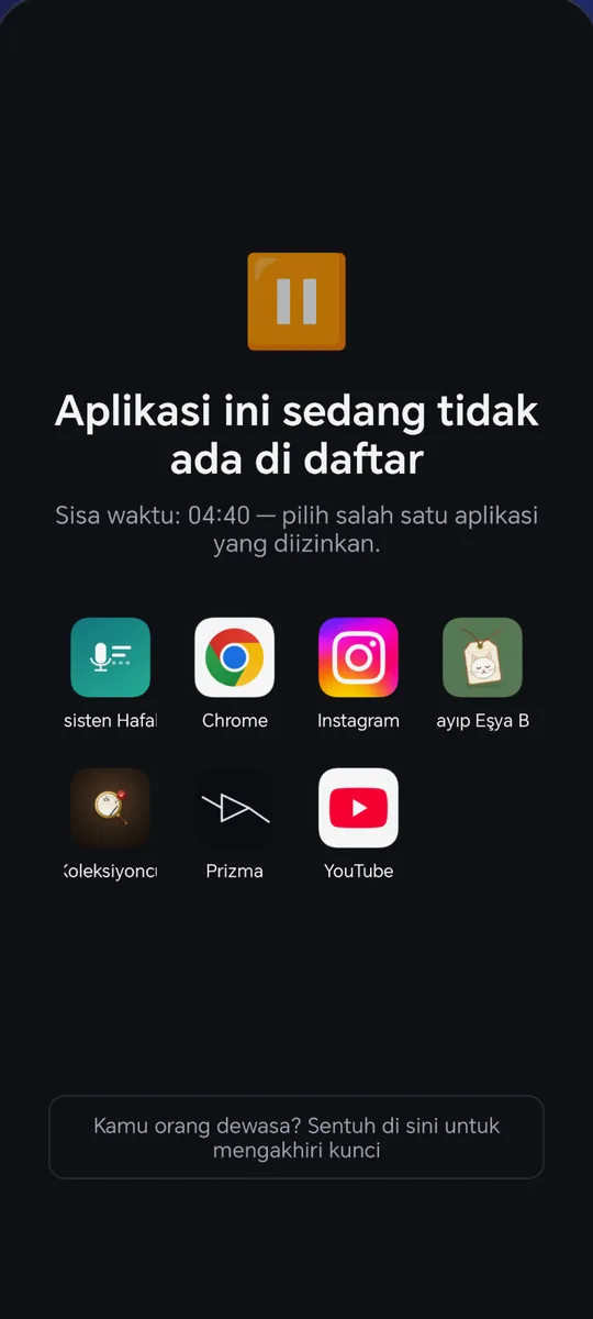 Paydos: Layar kunci dengan aplikasi yang diizinkan